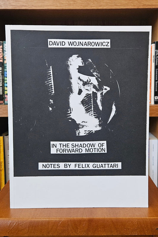 David Wojnarowicz - In the Shadow of Forward Motion