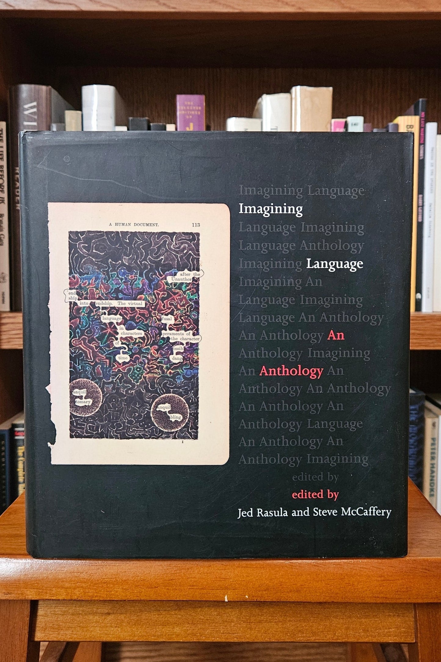Jed Rasula and Steve McCaffery (ed.) - Imagining Language An Anthology