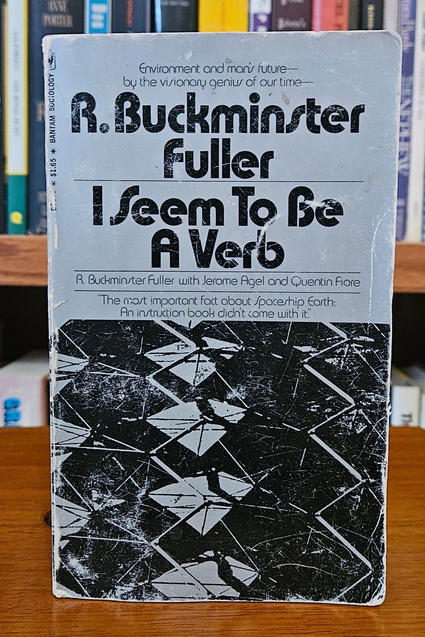 R. Buckminster Fuller - I Seem To Be a Verb