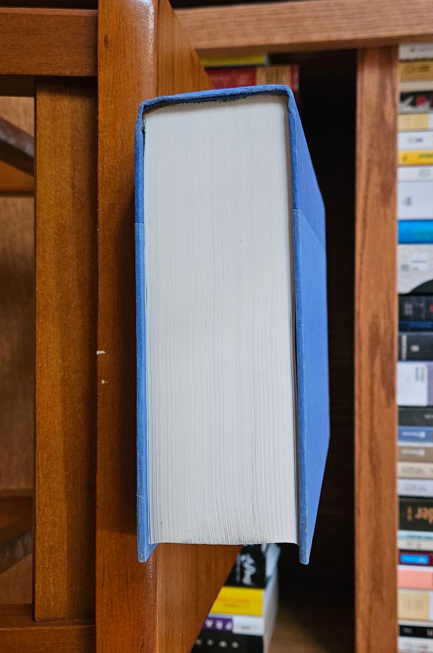 David Foster Wallace - Infinite Jest