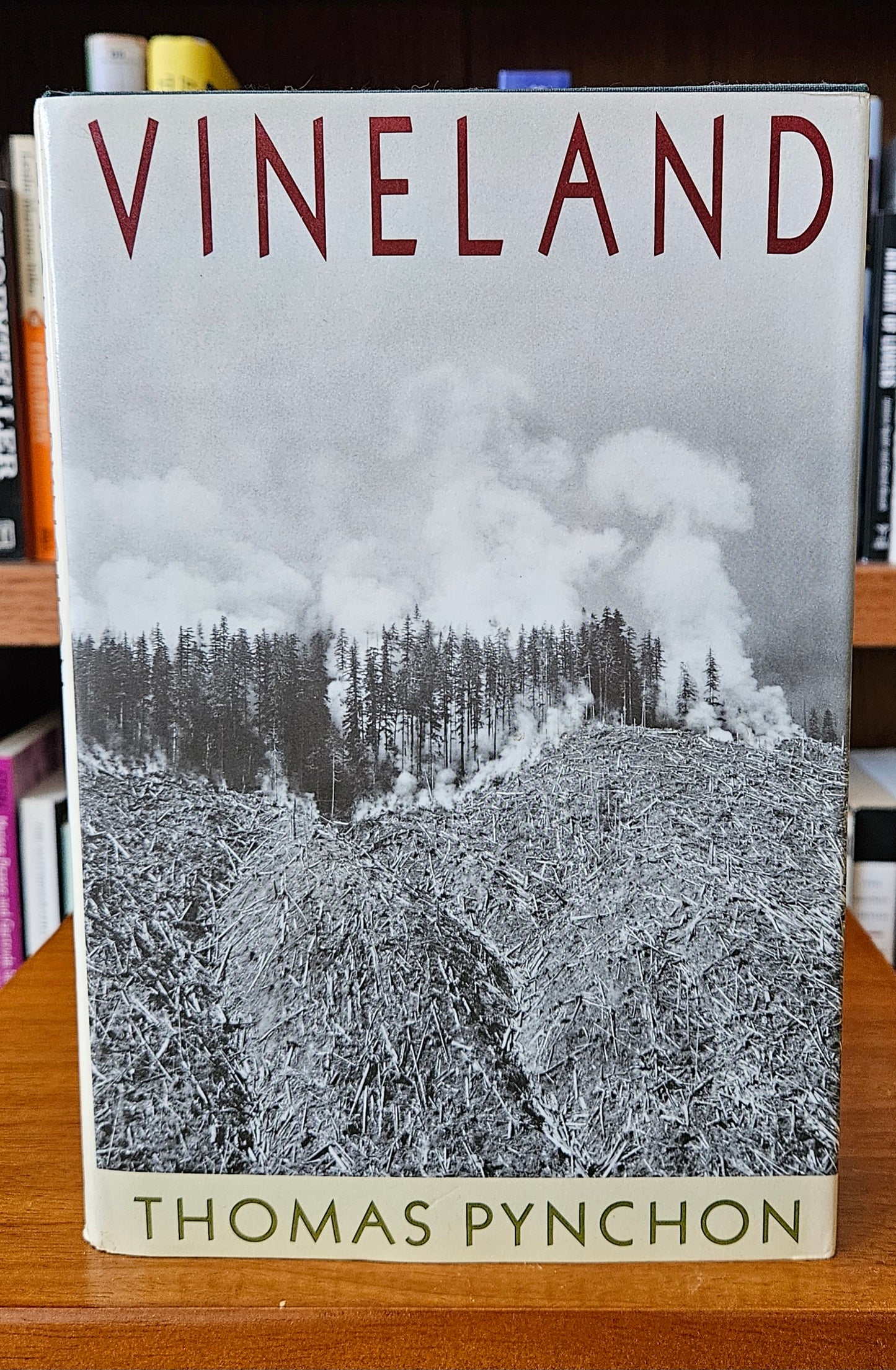 Thomas Pynchon - Vineland