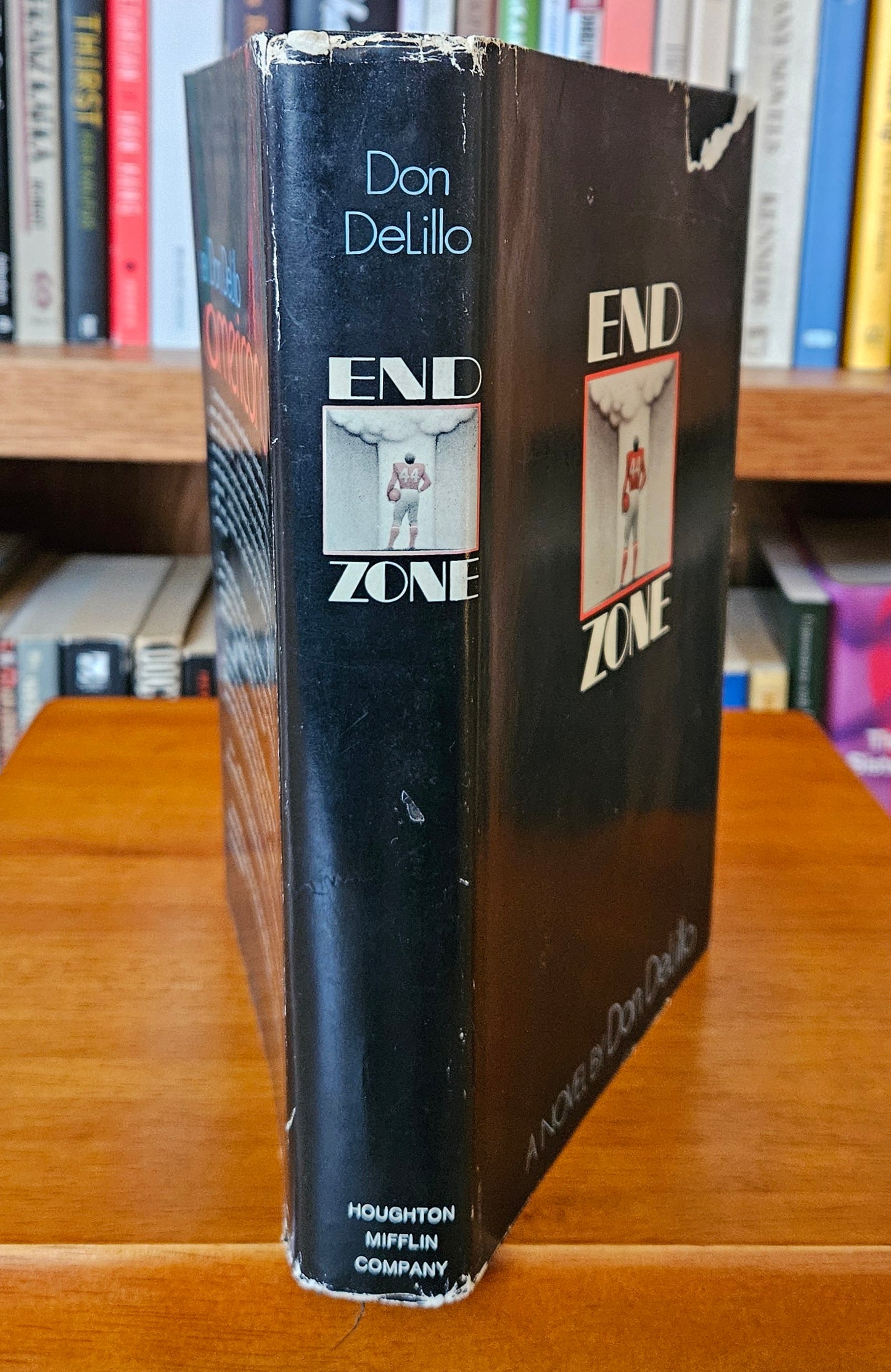 Don DeLillo - End Zone