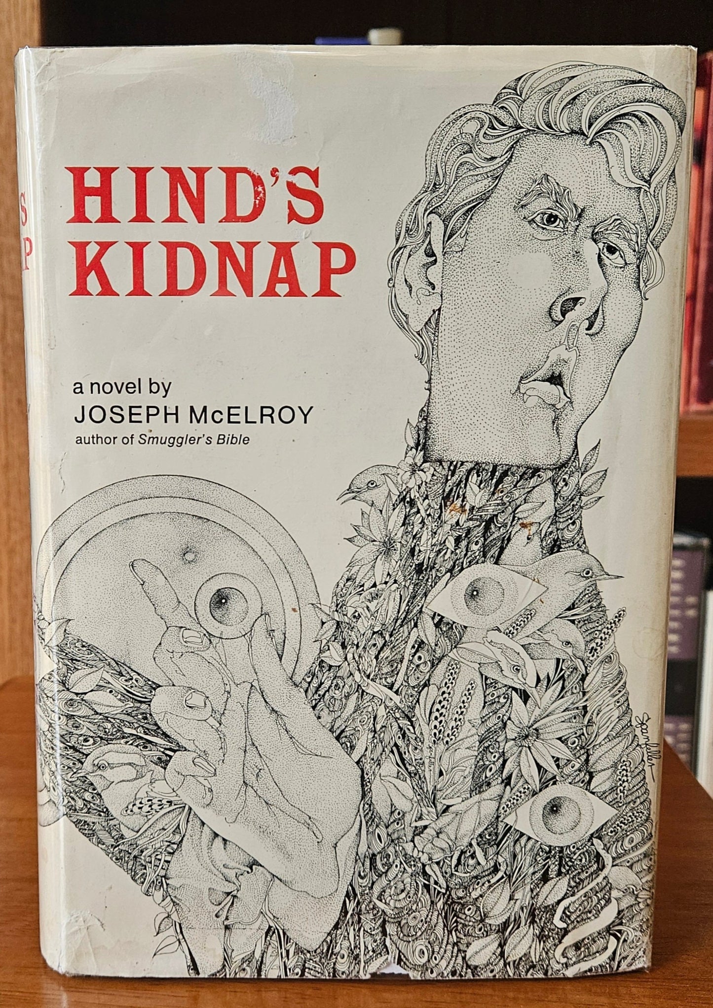 Joseph McElroy - Hind's Kidnap