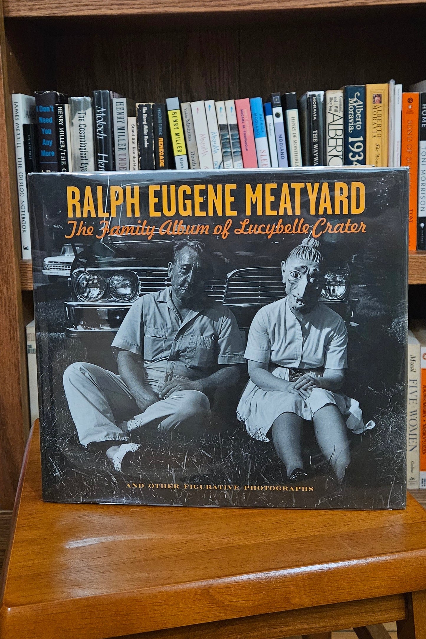 Ralph Eugene Meatyard: The Family Album of Lucybelle Crater - James Rhem (ed)