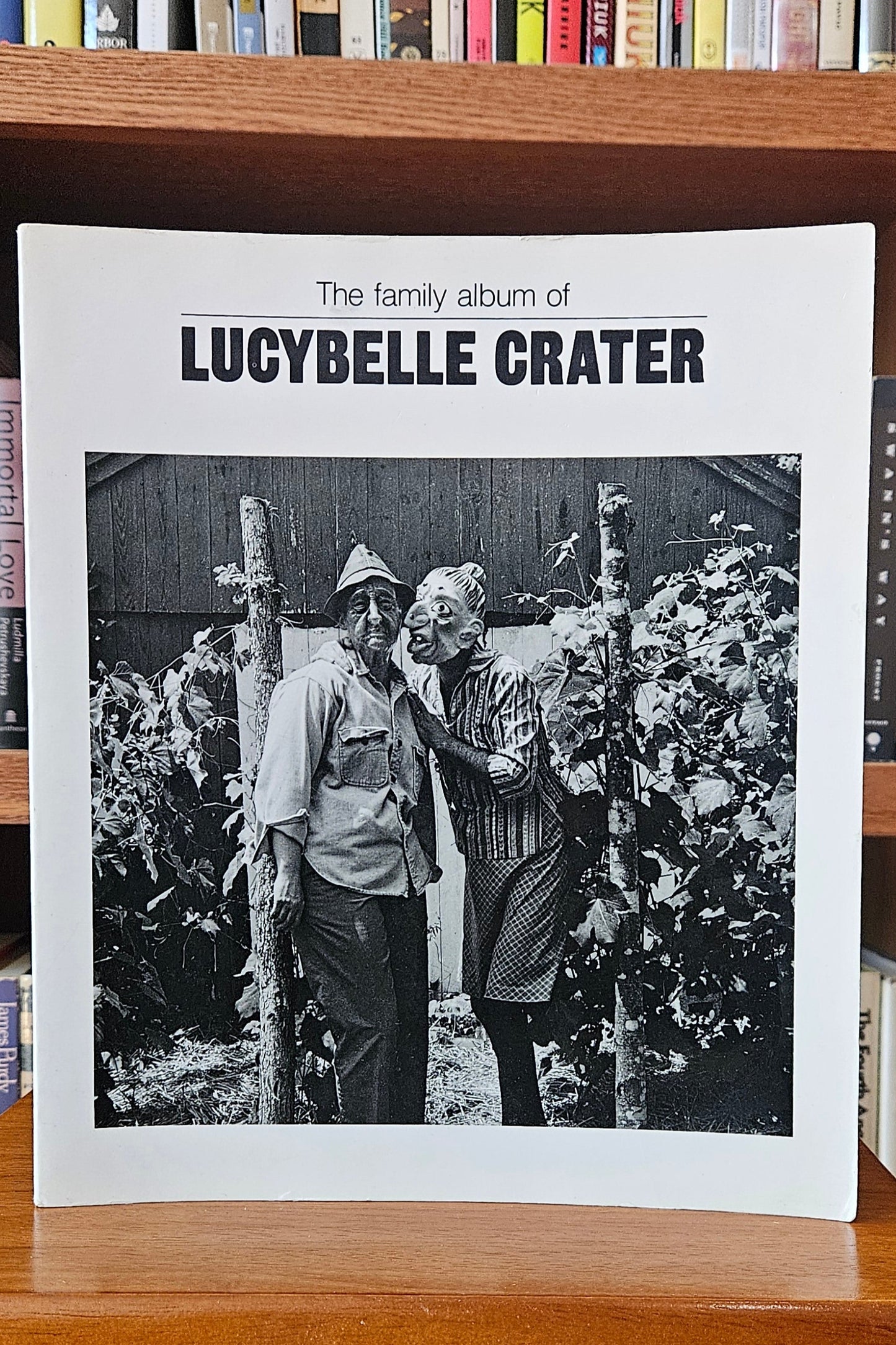 Ralph Eugene Meatyard - The Family Album of Lucybelle Crater