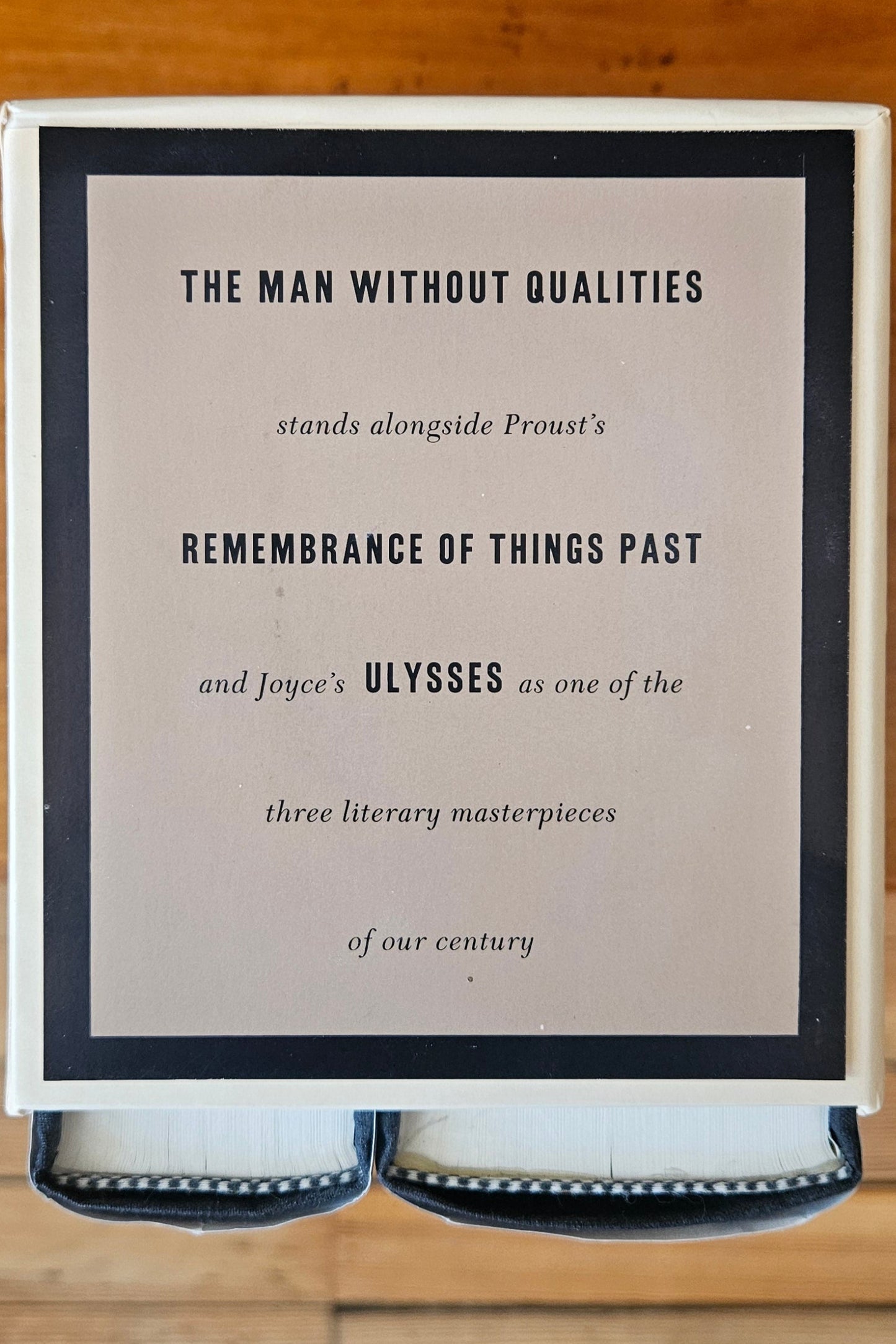 Robert Musil - The Man Without Qualities