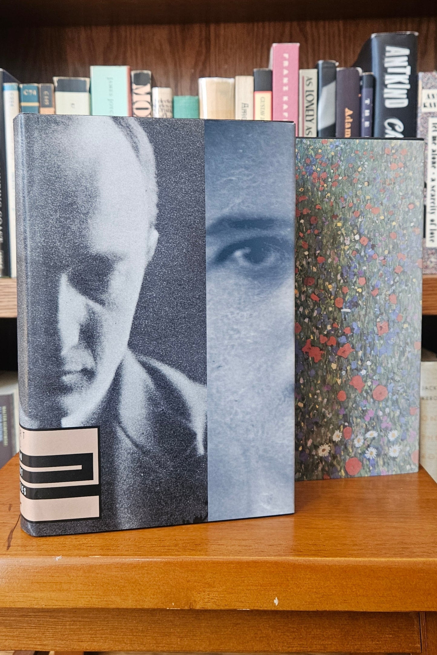 Robert Musil - The Man Without Qualities
