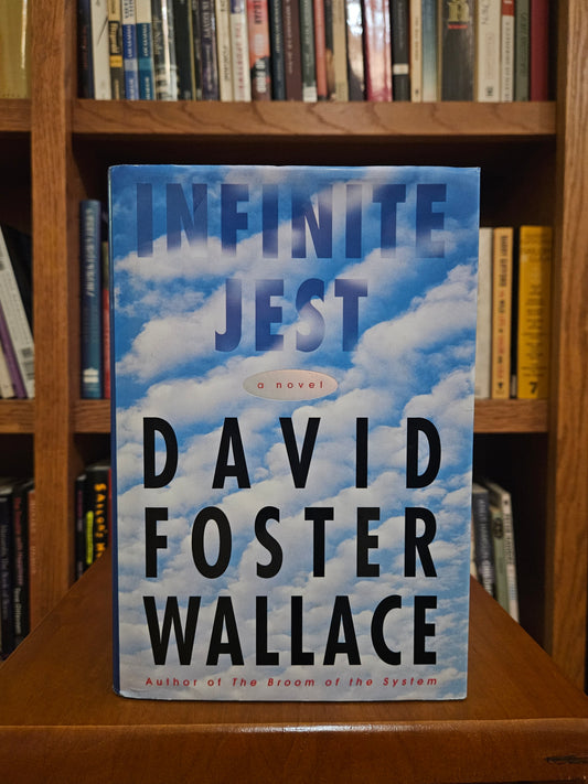 David Foster Wallace - Infinite Jest