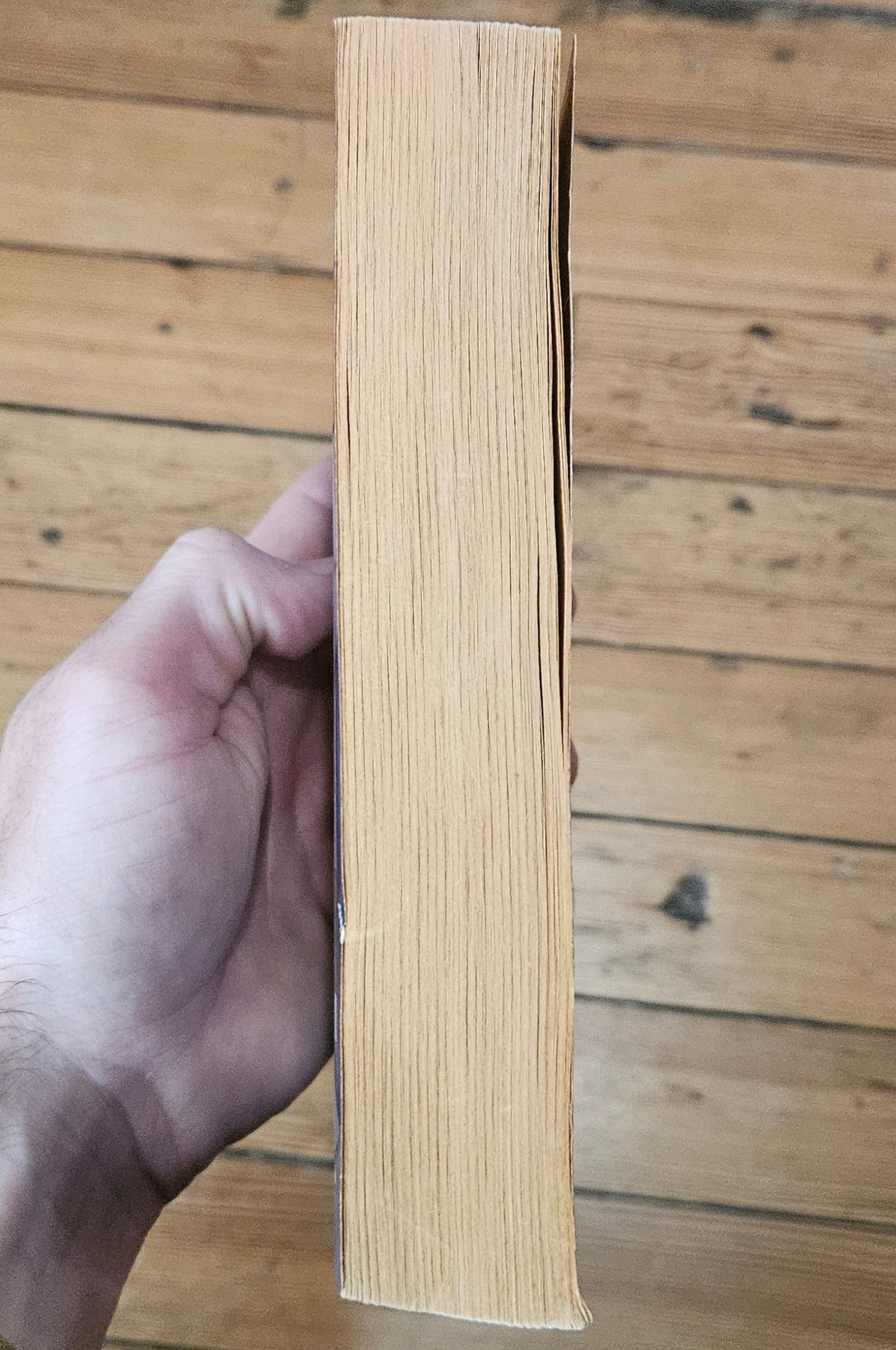 Joseph McElroy - A Smuggler's Bible