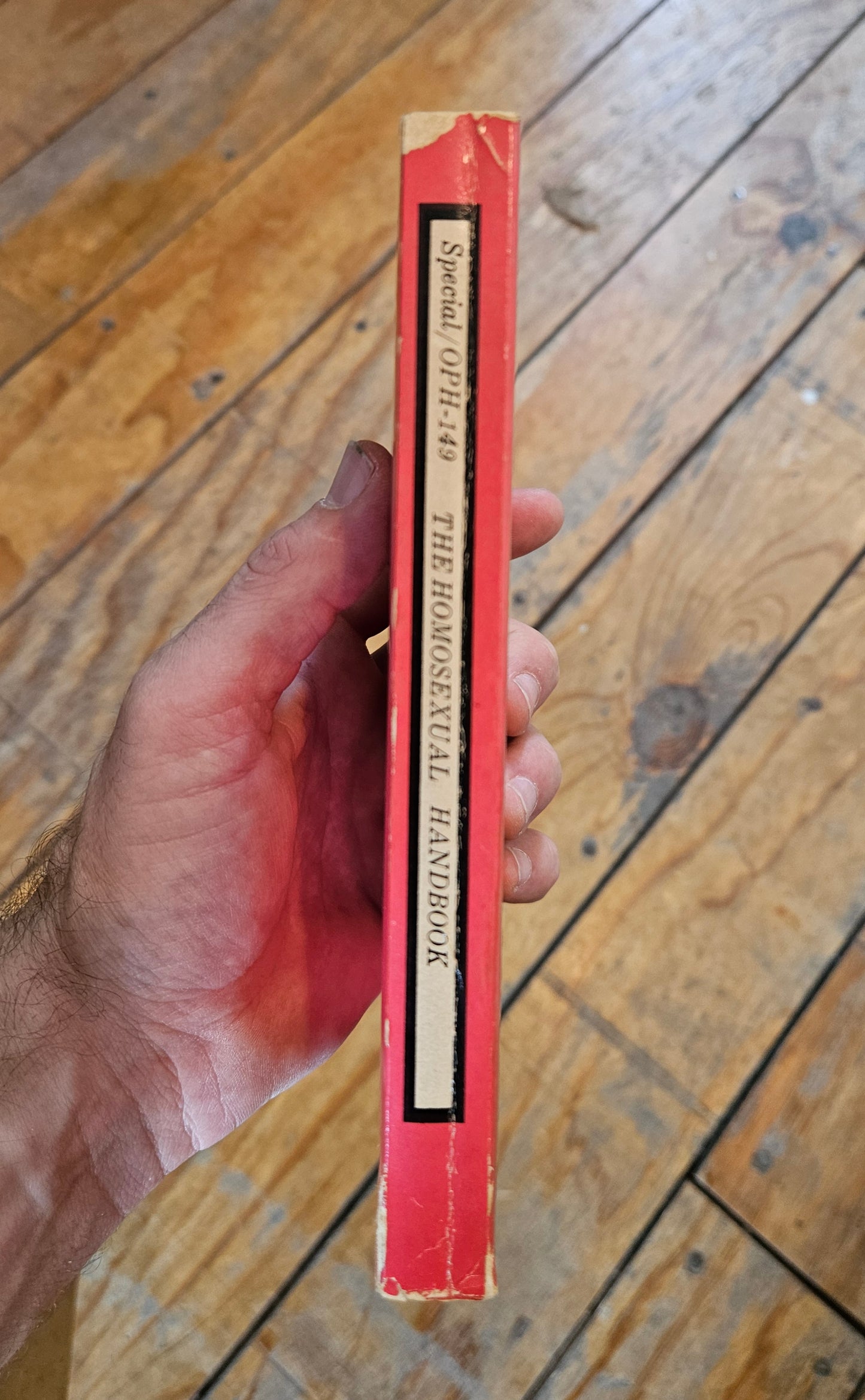 Angelo d'Arcangelo - The Homosexual Handbook