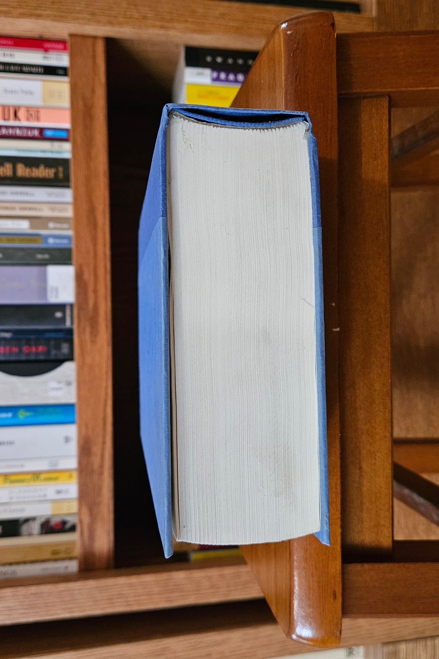 David Foster Wallace - Infinite Jest