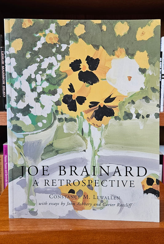 Joe Brainard A Retrospective - Constance M. Lewallen (ed)