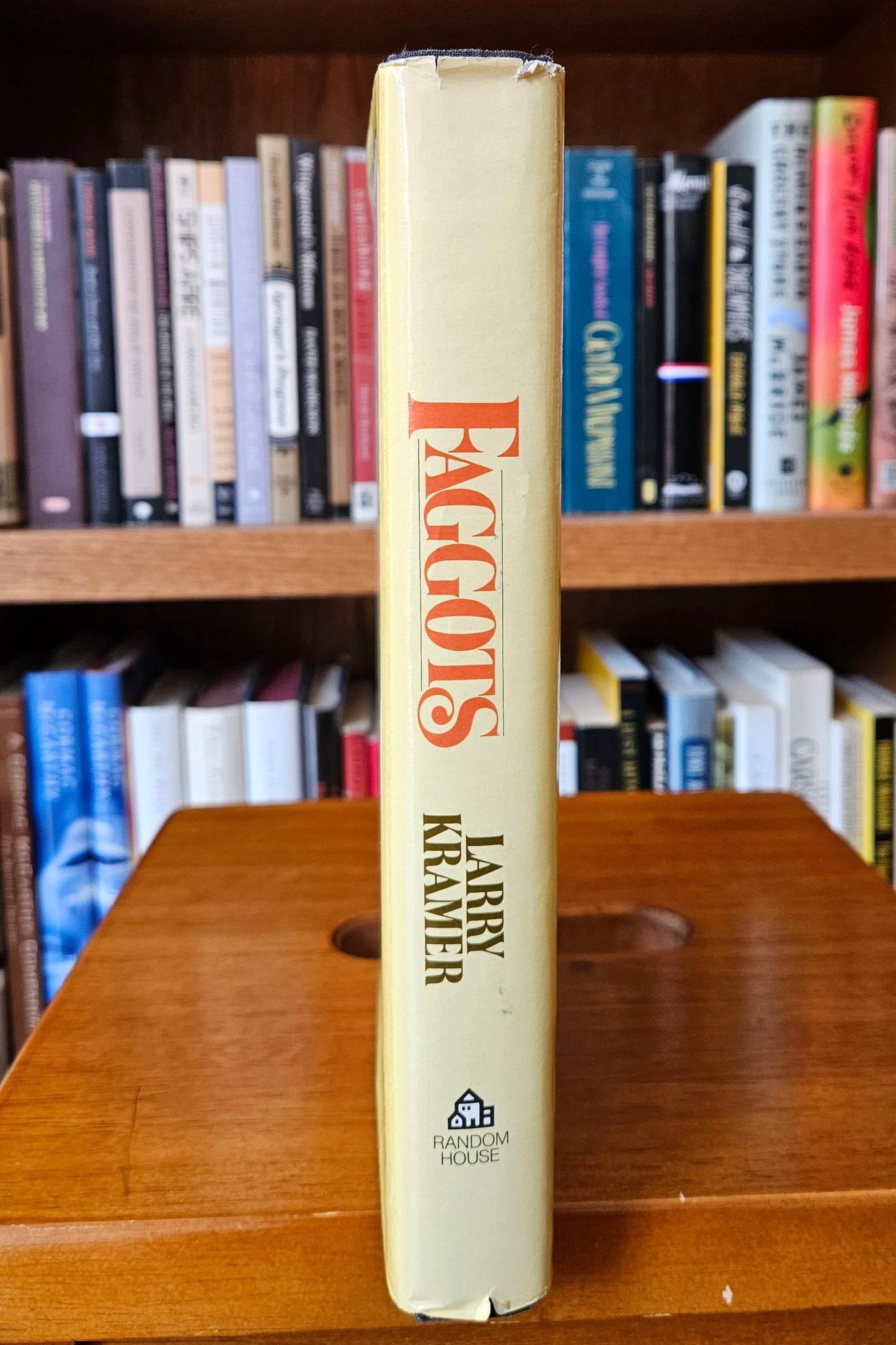 Larry Kramer - Faggots