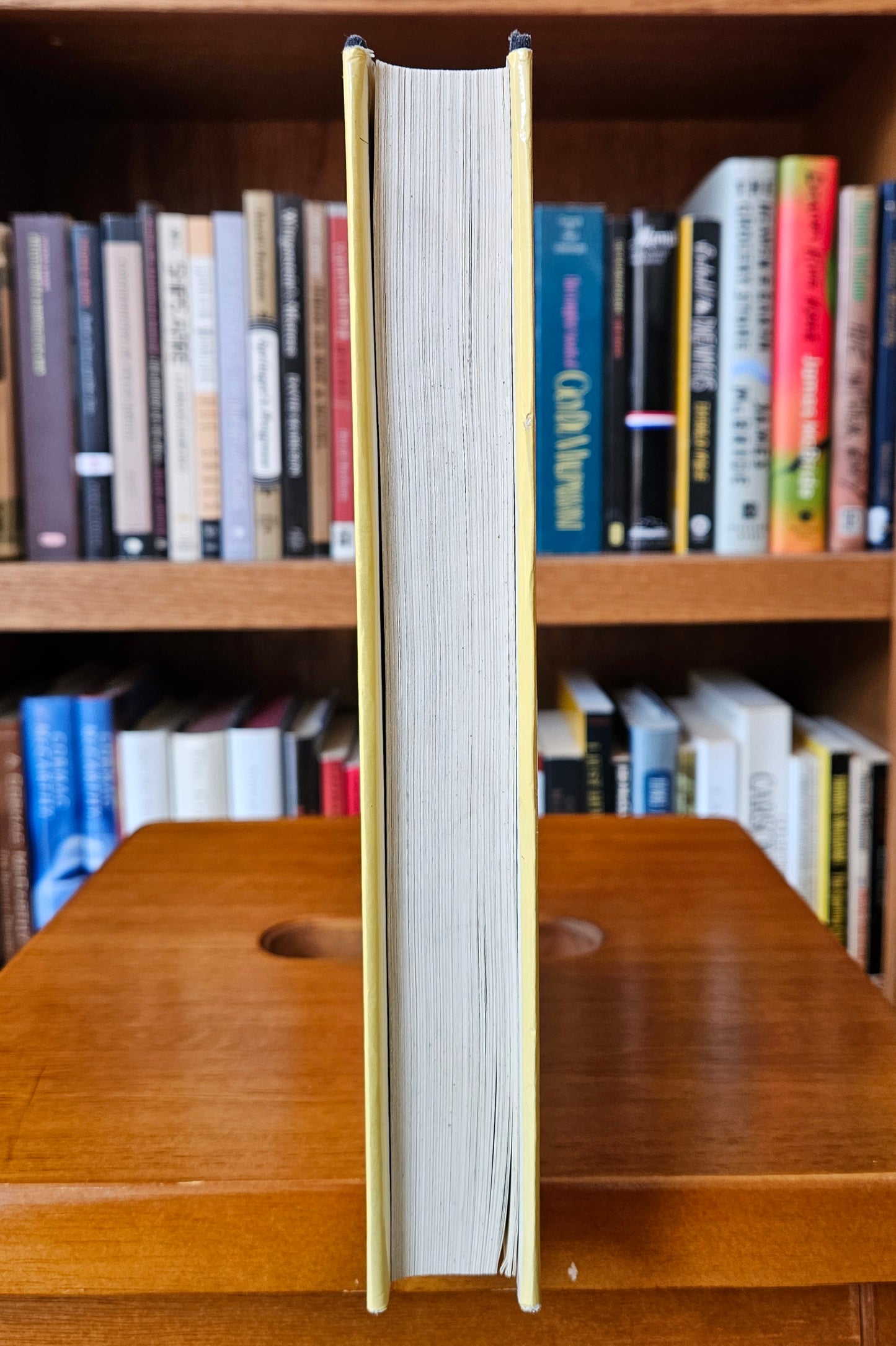 Larry Kramer - Faggots