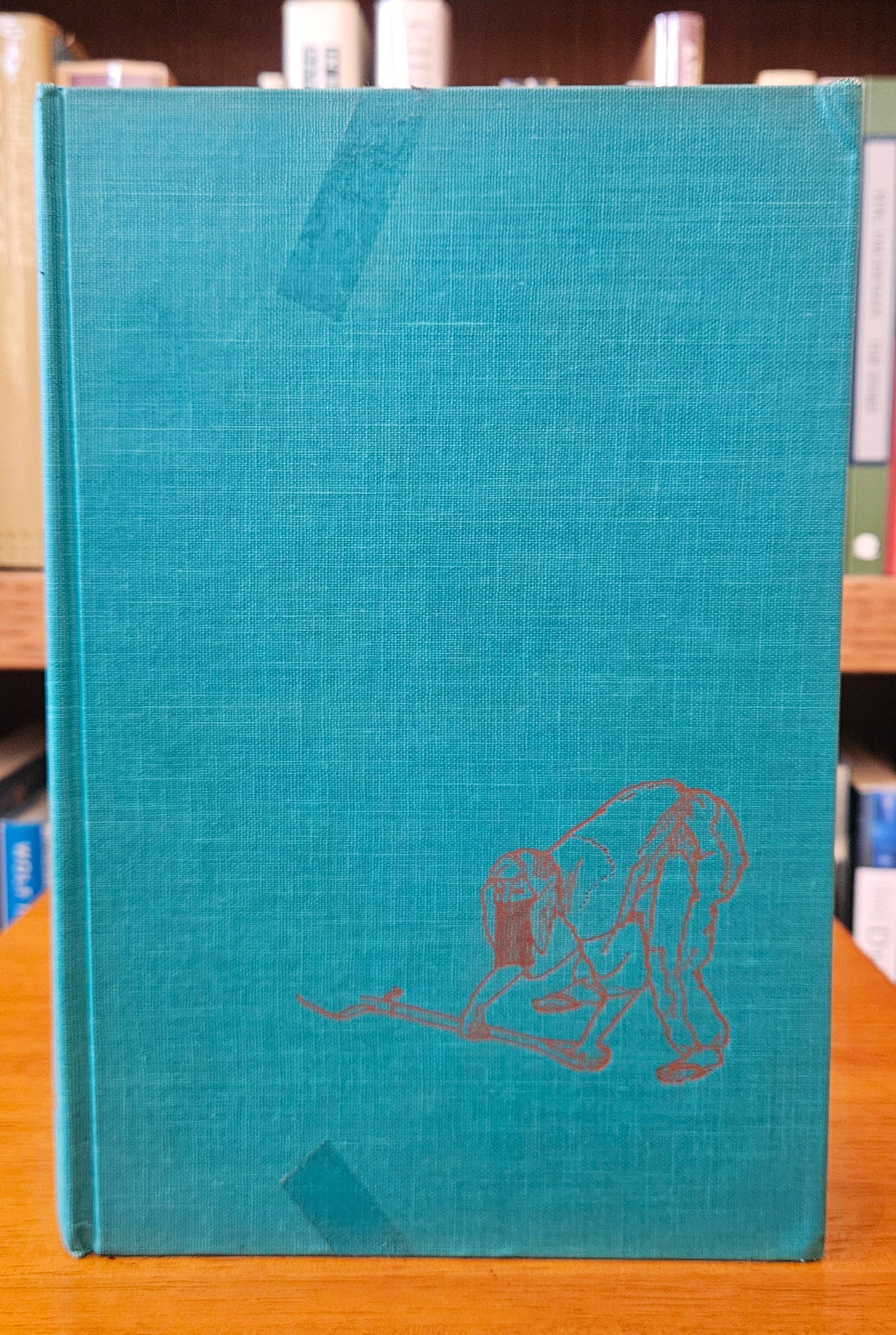 Kobo Abe - The Woman in the Dunes