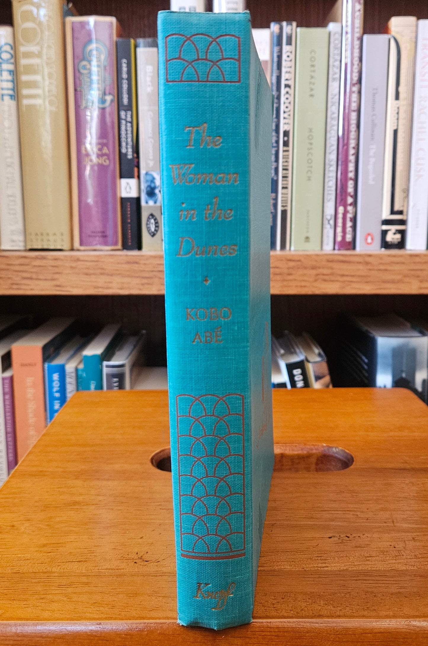 Kobo Abe - The Woman in the Dunes