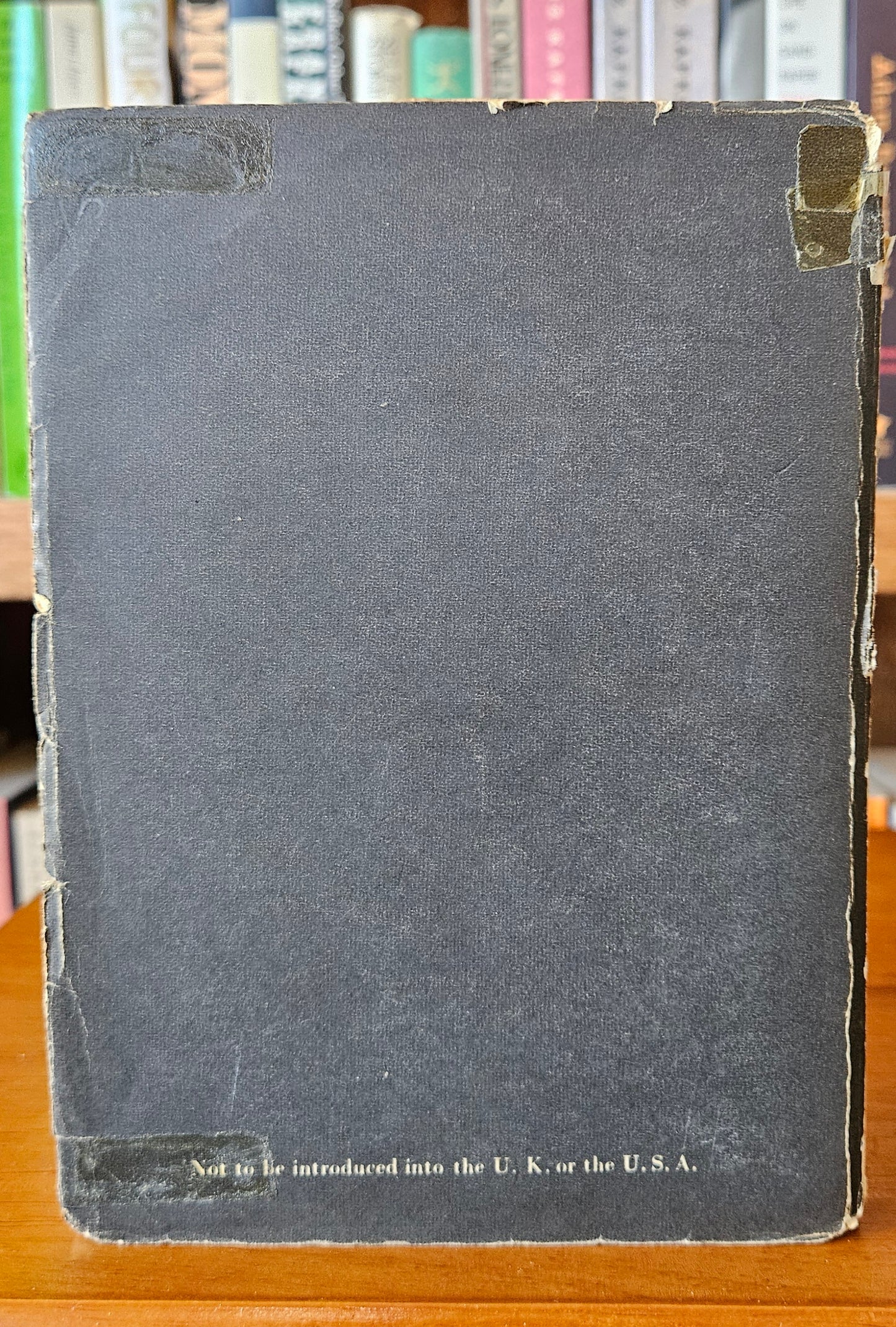 Jean Genet - The Thief's Journal