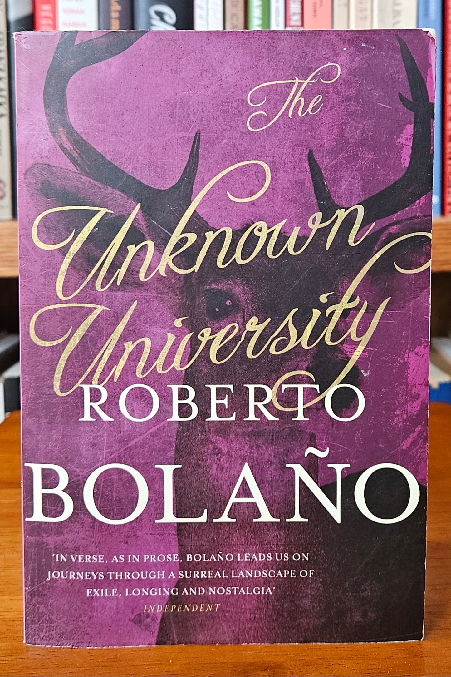 Roberto Bolano - The Unknown University
