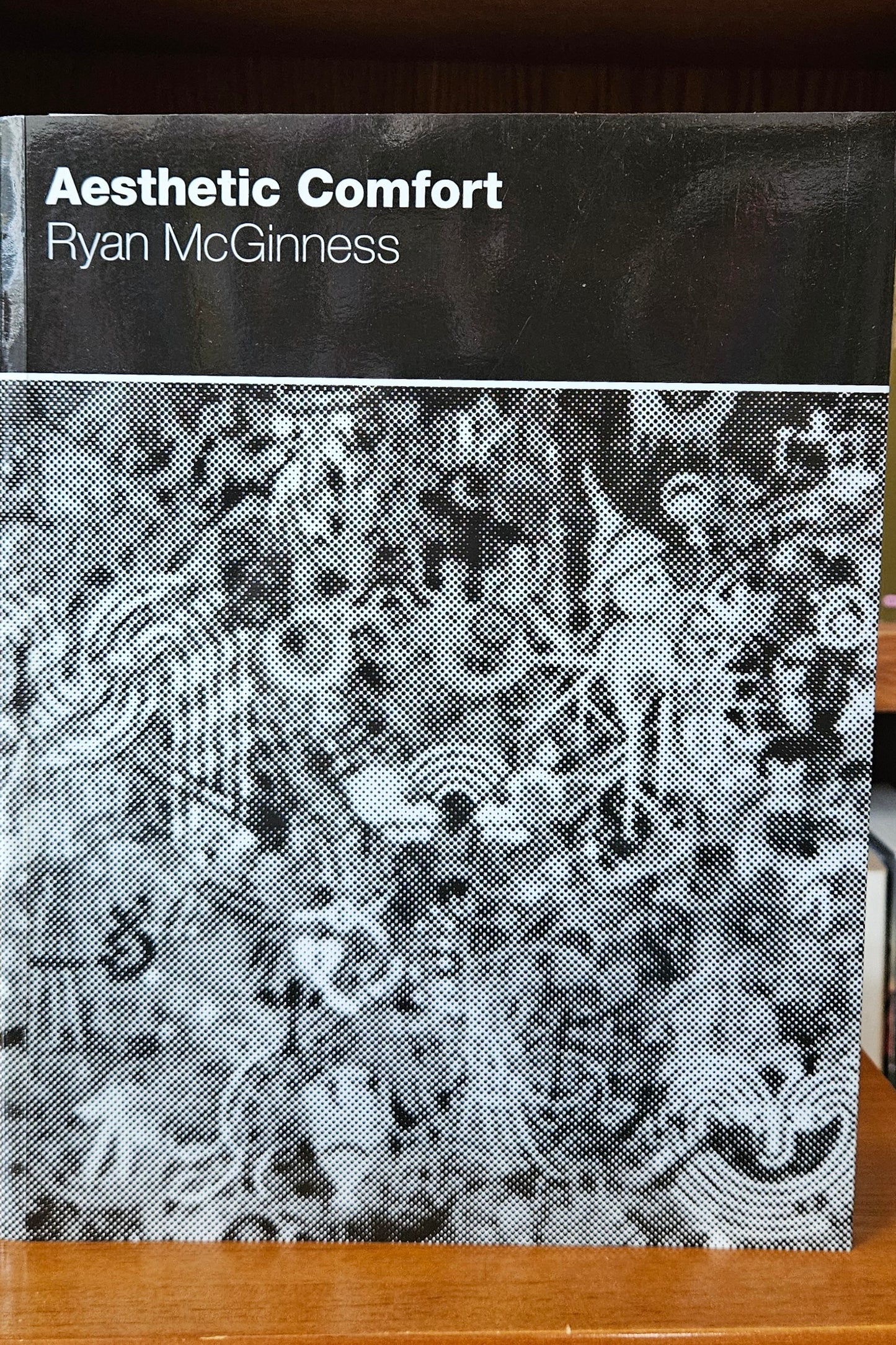Ryan McGinness - Aesthetic Comfort