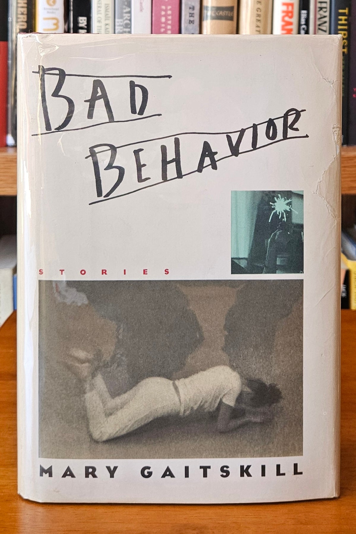 Mary Gaitskill - Bad Behavior