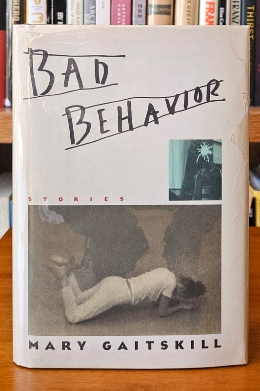 Mary Gaitskill - Bad Behavior