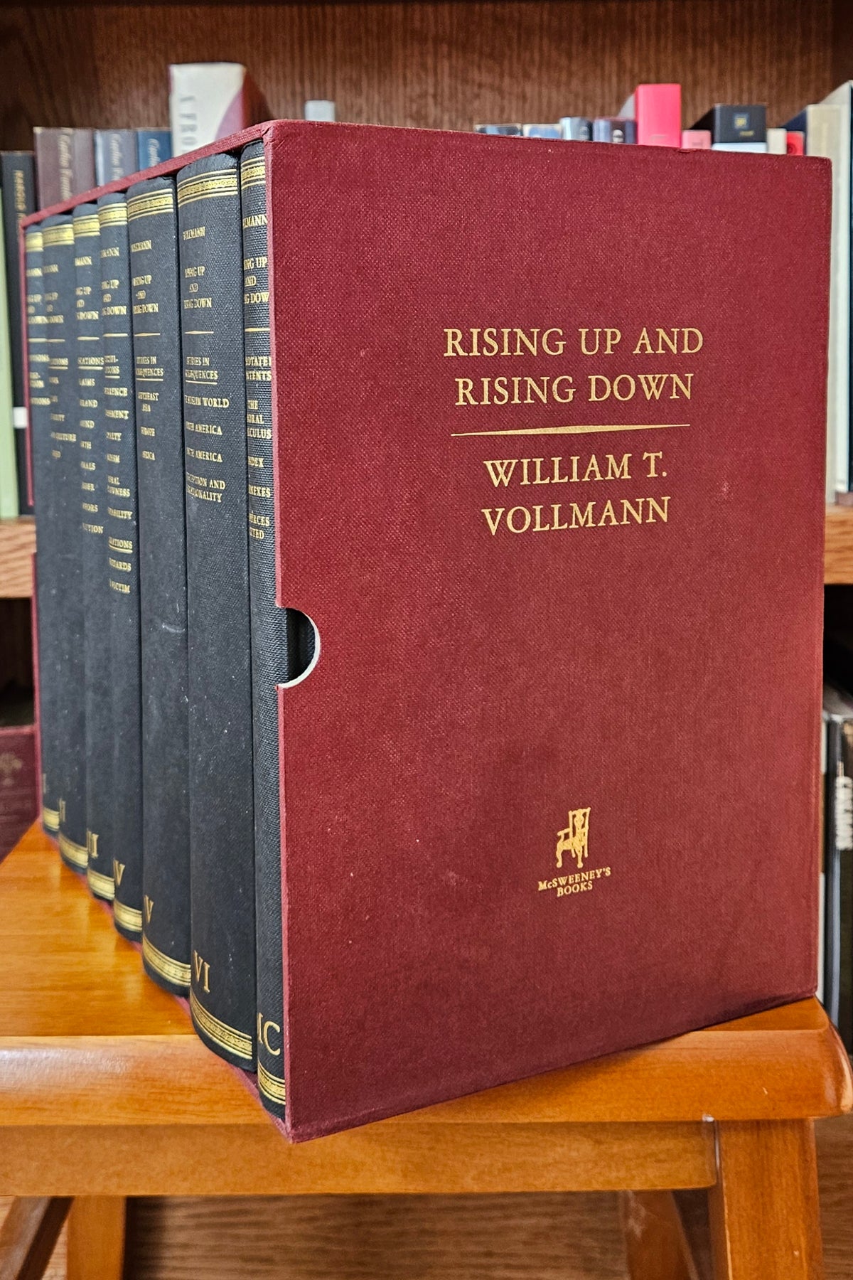 William T. Vollmann - Rising Up and Rising Down