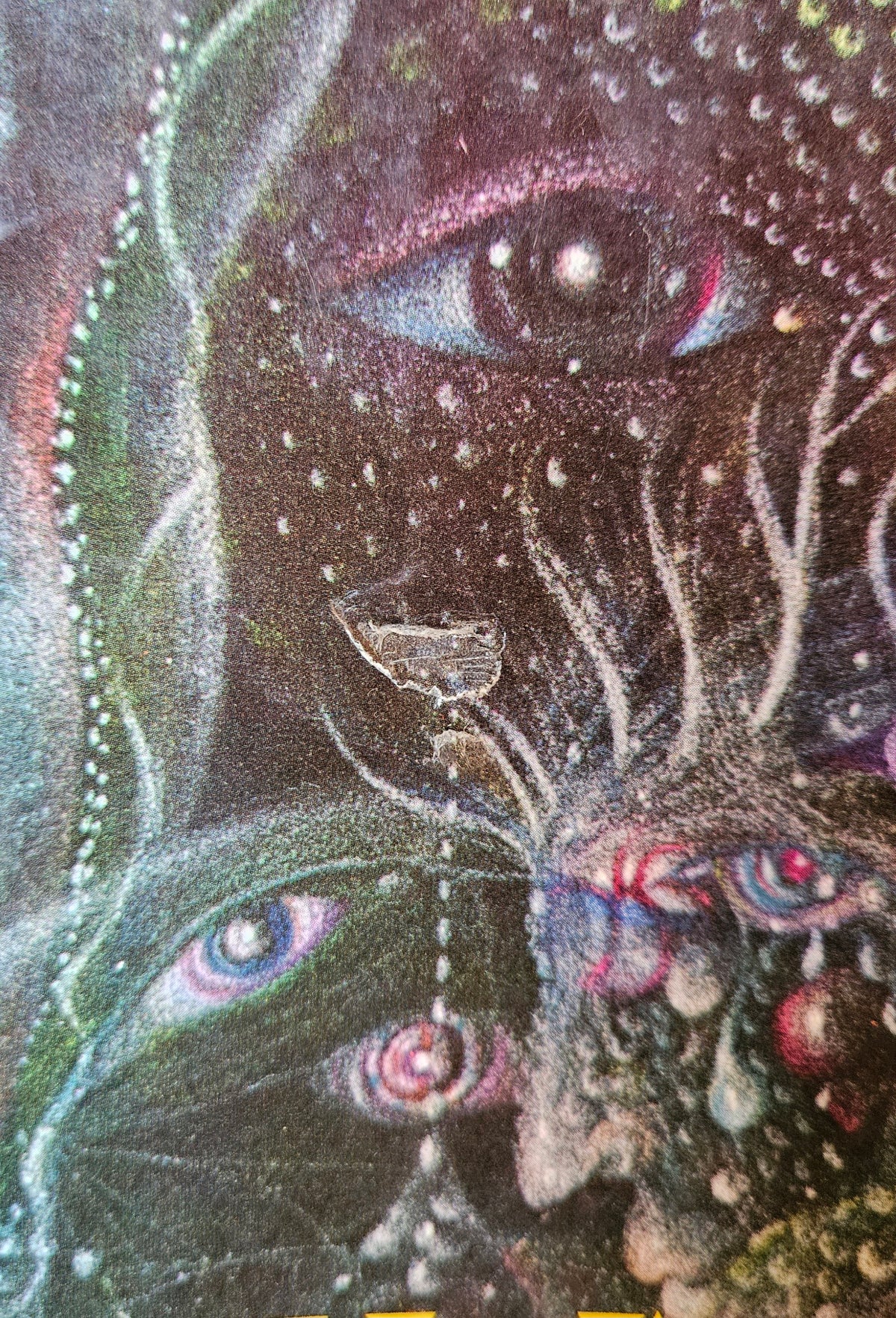 Angela Carter - The War of Dreams