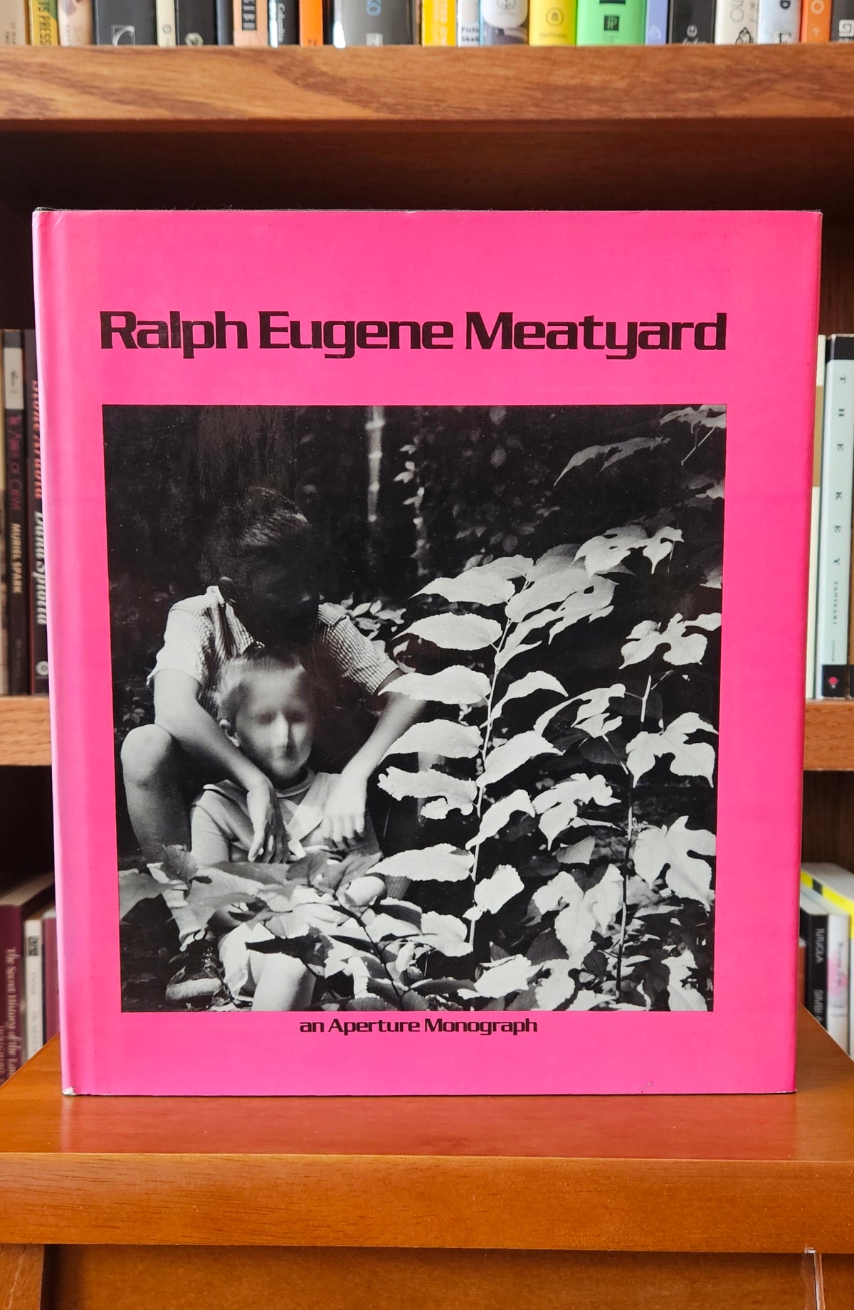 Ralph Eugene Meatyard - An Aperture Monograph